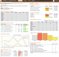 SpiraPlan Project Dashboard