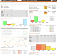 SpiraTeam Project Dashboard